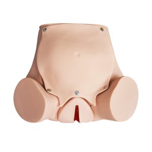 Abdominal Examination And Childbirth Simulator