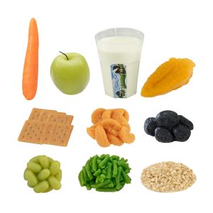 10-Pack Food Replica Kit