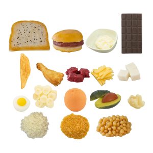 17-Pack Food Replica Kit