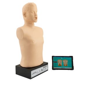 Auscultation Training Simulator