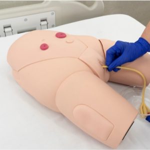 Female catheterization trainer showing IM injection pads and fluid-based urethral insertion