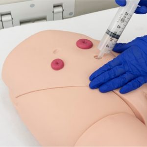 Female catheterization trainer showing IM injection pads and fluid-based urethral insertion