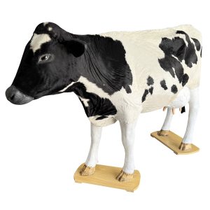 Holstein Dystocia Simulator