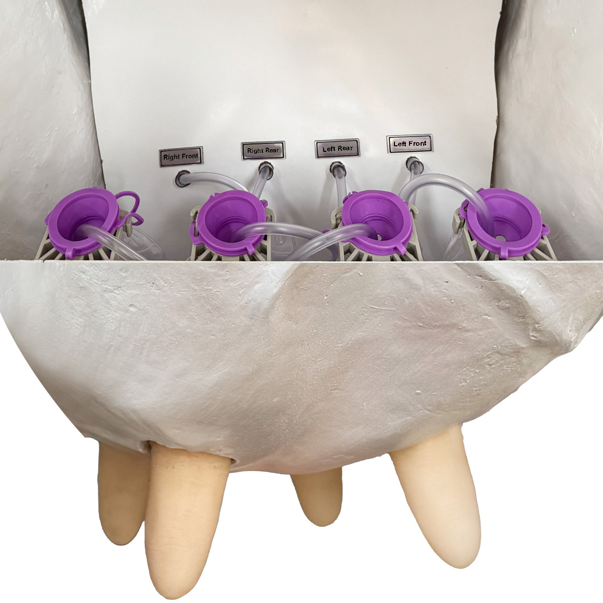 Mastitis Training Set