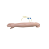 Child IV and IM injection training arm model for pediatric nursing practice