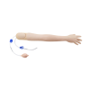 Adult arterial arm training simulator for radial artery puncture practice