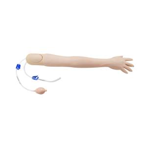 Adult arterial arm training simulator for radial artery puncture practice