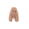 Advanced male catheterization simulator pelvic model for clinical skills training