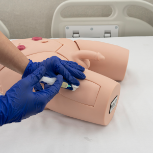 Male catheterization trainer showing IM injection pads and fluid-based urethral insertion