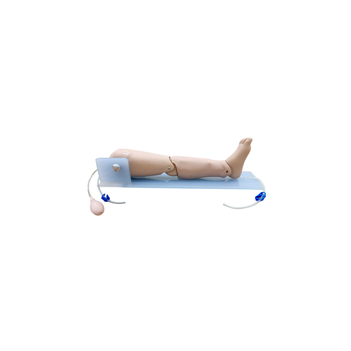st155 Pediatric intraosseous intervention simulator lower leg model mounted on base